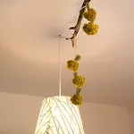 Apartman Dore